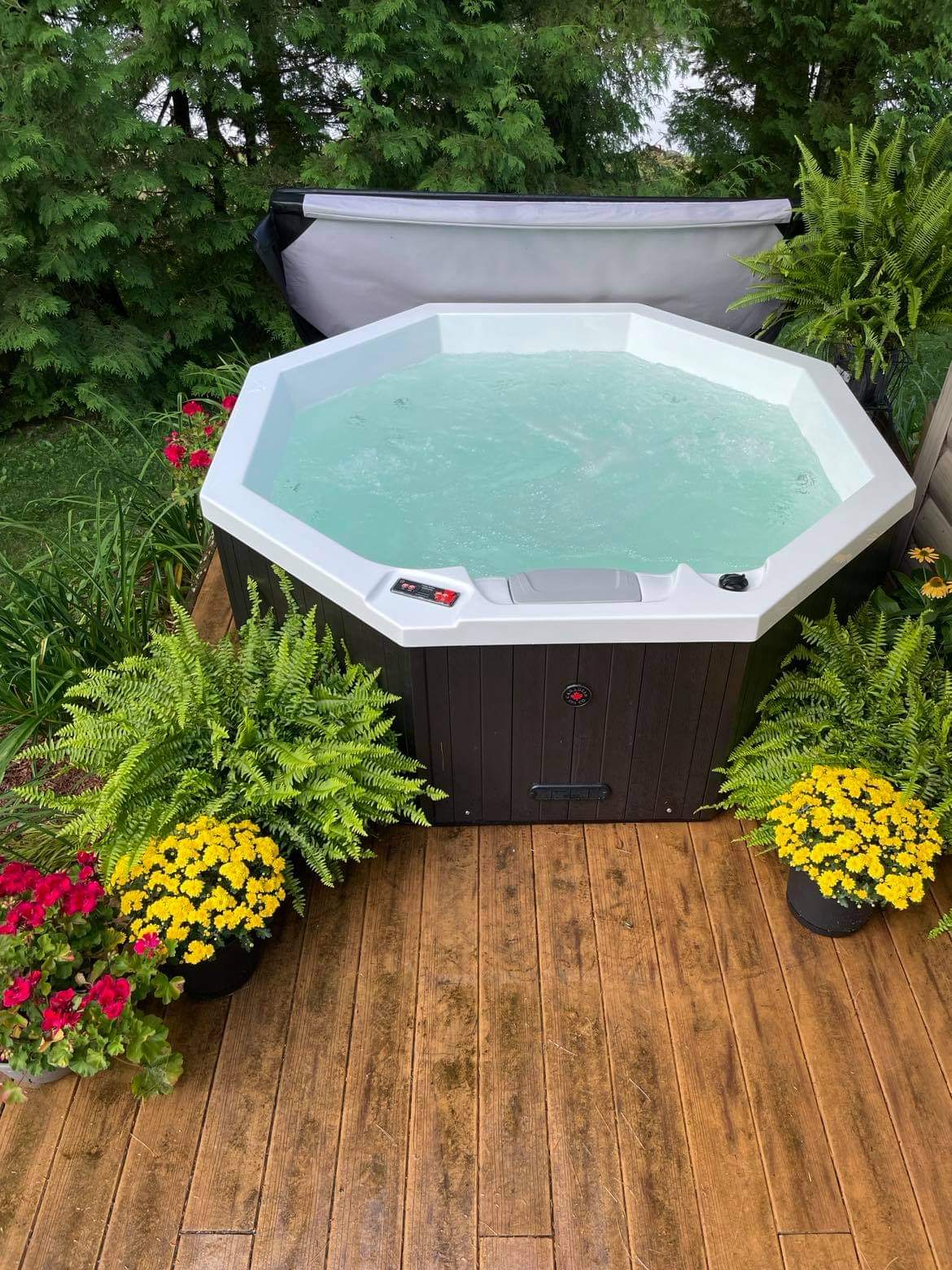 Canadian Spa Muskoka 14 Jet Plug and Play Hot Tub - 60Hz